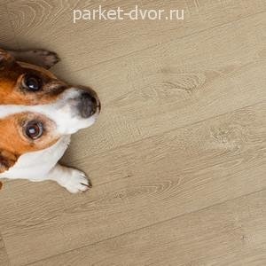 Ламинат SPC Floor Factor Classic 13 Barley Corn Oak