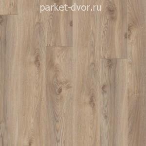 Ламинат Kronotex Mammut D3669 Дуб Макро Бежевый