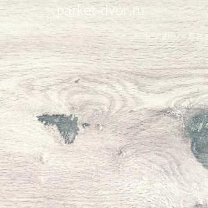Пробковые полы Ibercork Print Wood Робле Эладо