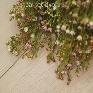Ламинат Alloc Original 05201 White Pine (Сосна Белая)