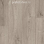 Ламинат Parador  L1070 4V 1730372 Дуб Valere жемчужно-серый