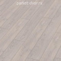 Ламинат Jangal by Krono Swiss 2800/8800 Дуб Столичный Светлый