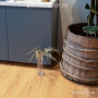 Виниловый SPC ламинат Vinilpol 7896-EIR Дуб Флоренция