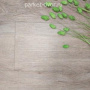 Виниловый SPC ламинат Aspen Floor Trend TR2-05 Дуб Классический