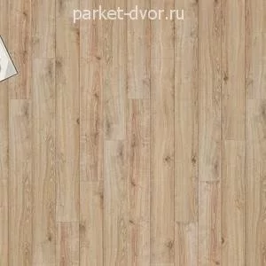 Ламинат Kastamonu SunFloor 12 мм SF104 Дуб Самора