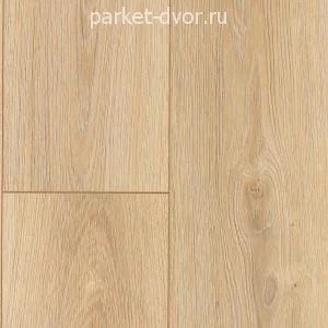 Ламинат Alsafloor 12.0 Solid Plus S514 Адамс (Намюр)