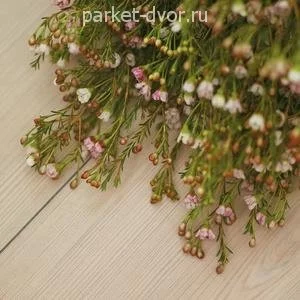 Ламинат Alloc Original 05201 White Pine (Сосна Белая)